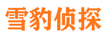 崇仁侦探公司